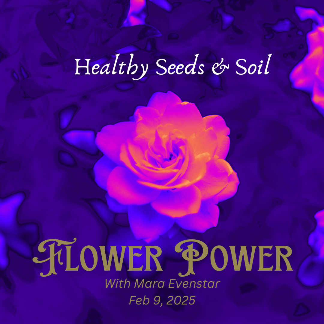 Shadow Work: Flower Power (for SWTC veterans)