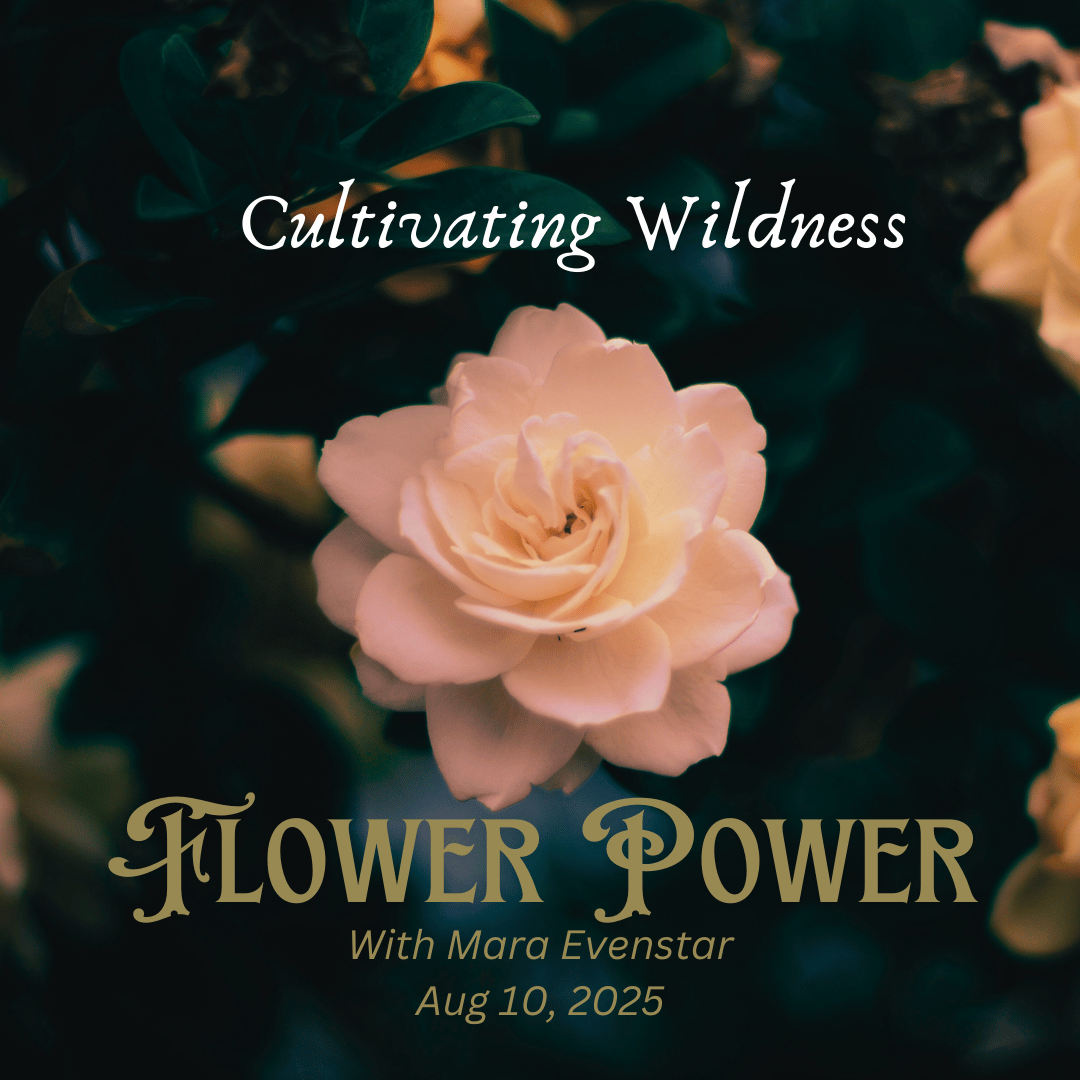 Shadow Work: Flower Power (for SWTC veterans)