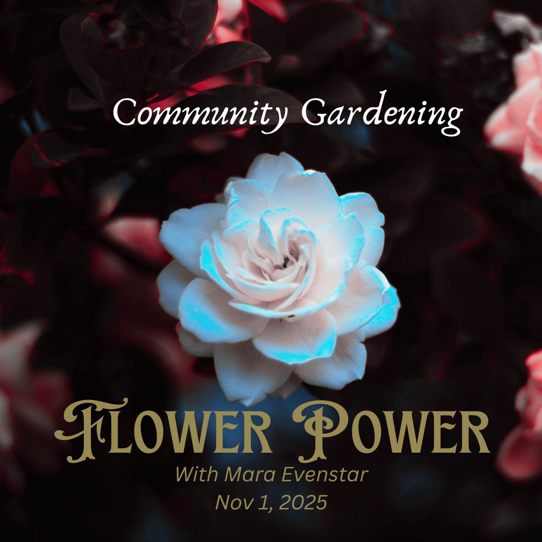 Shadow Work: Flower Power (for SWTC veterans)