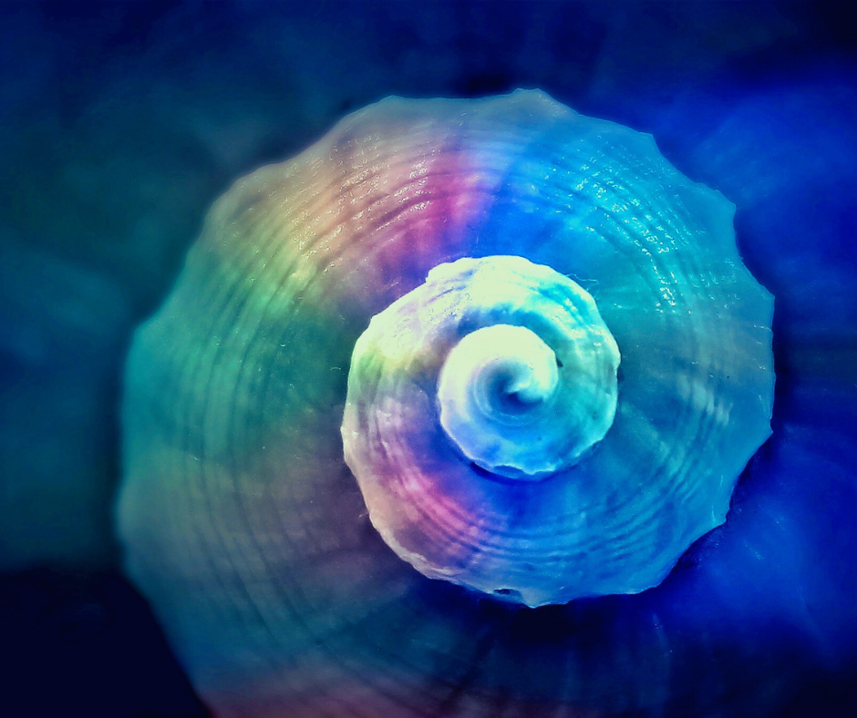 The Great Mystery Box