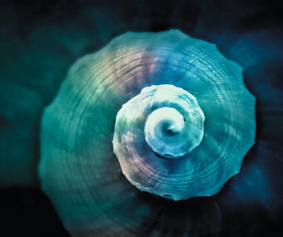 The Great Mystery Box