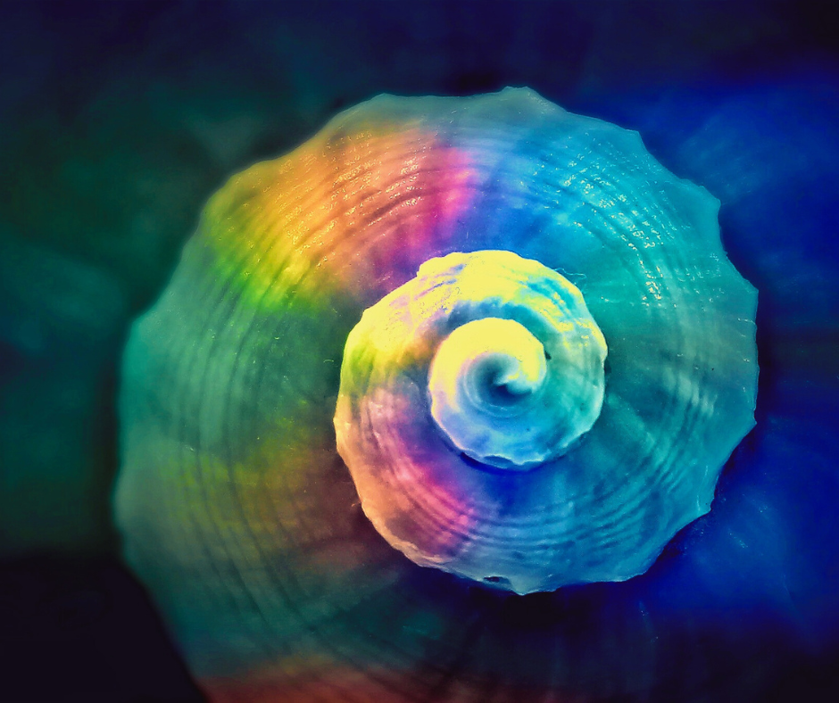 The Great Mystery Box