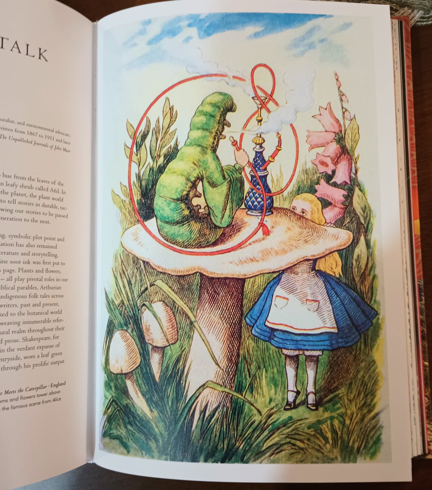 Page from Plant Magic, Library of Esoterica, of picture from Alice in Wonderland.