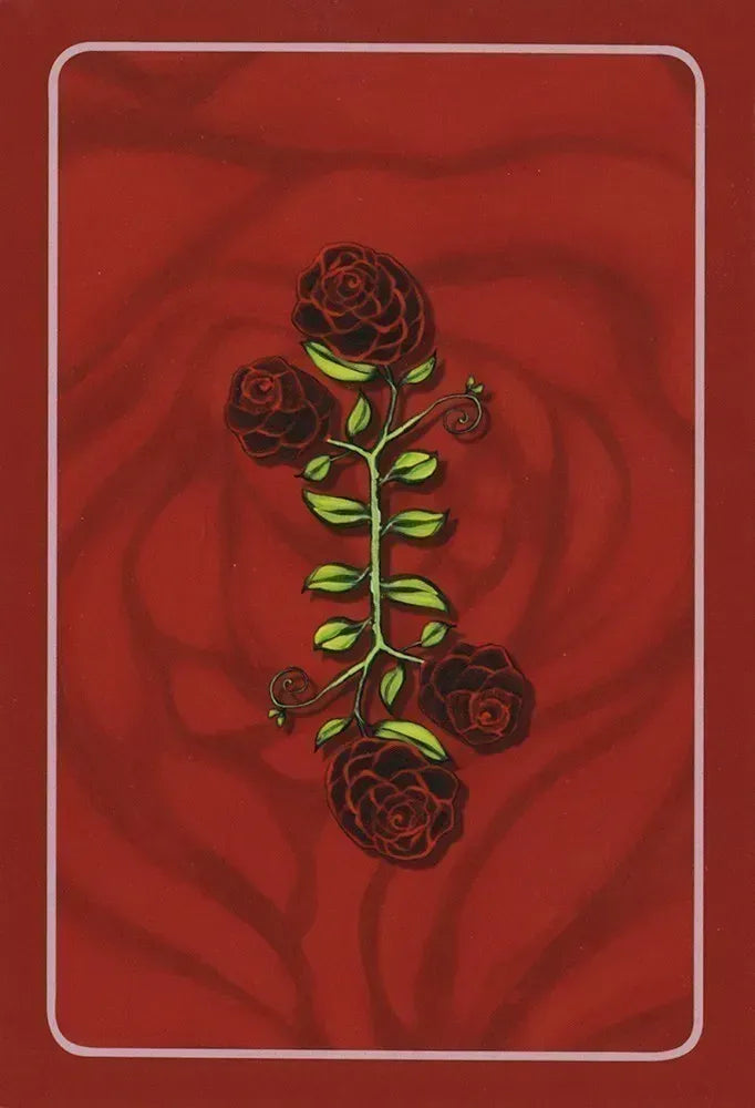 Mother Mary Oracle