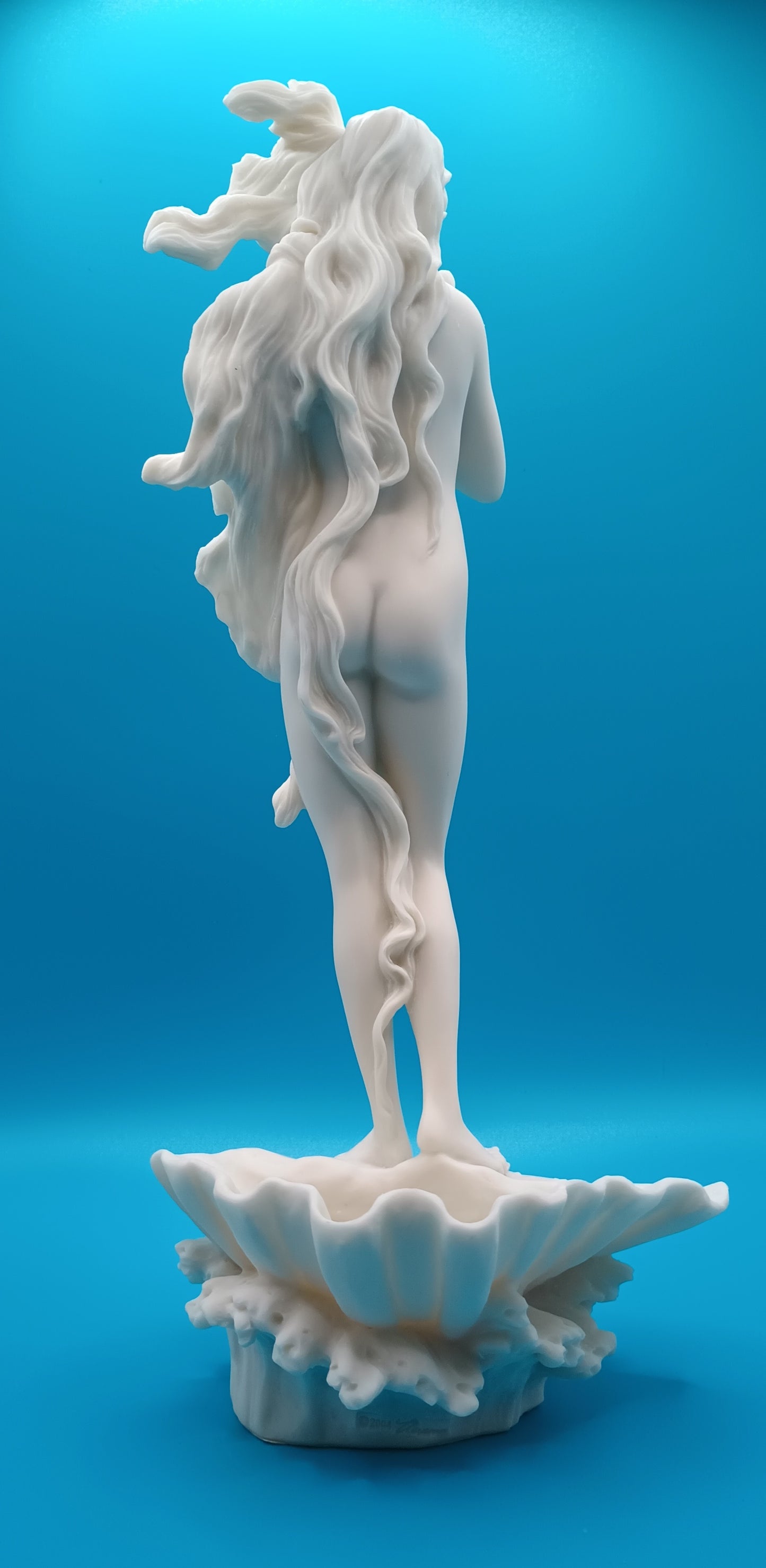 The Birth of Venus - Botticelli inspired