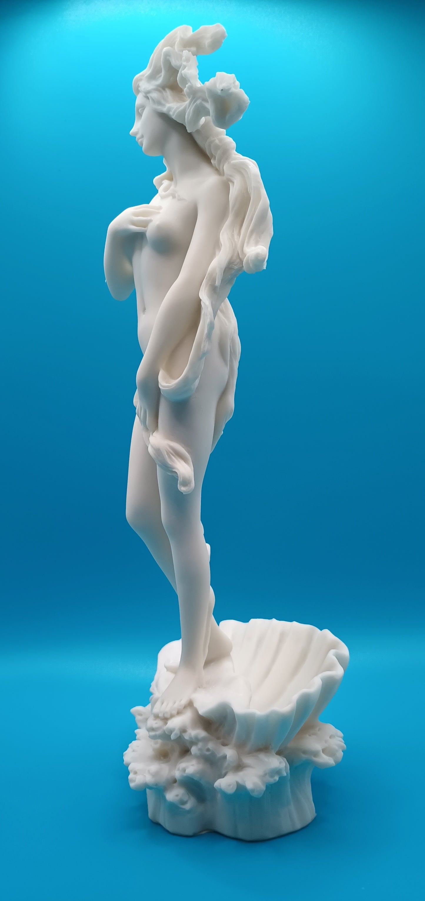The Birth of Venus - Botticelli inspired