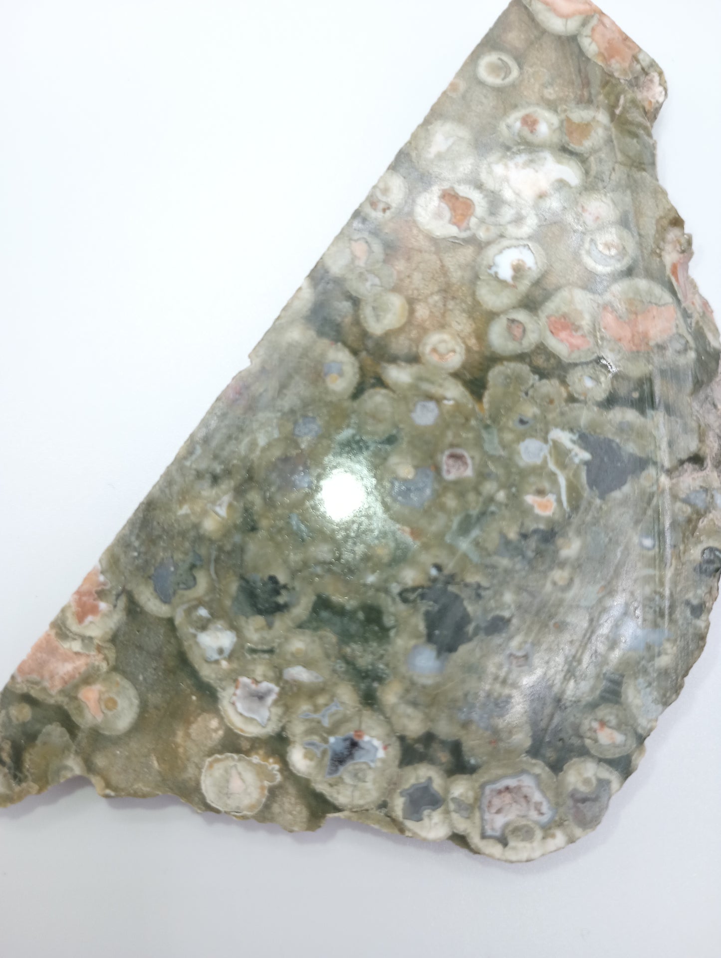 Rainforest Jasper Slice