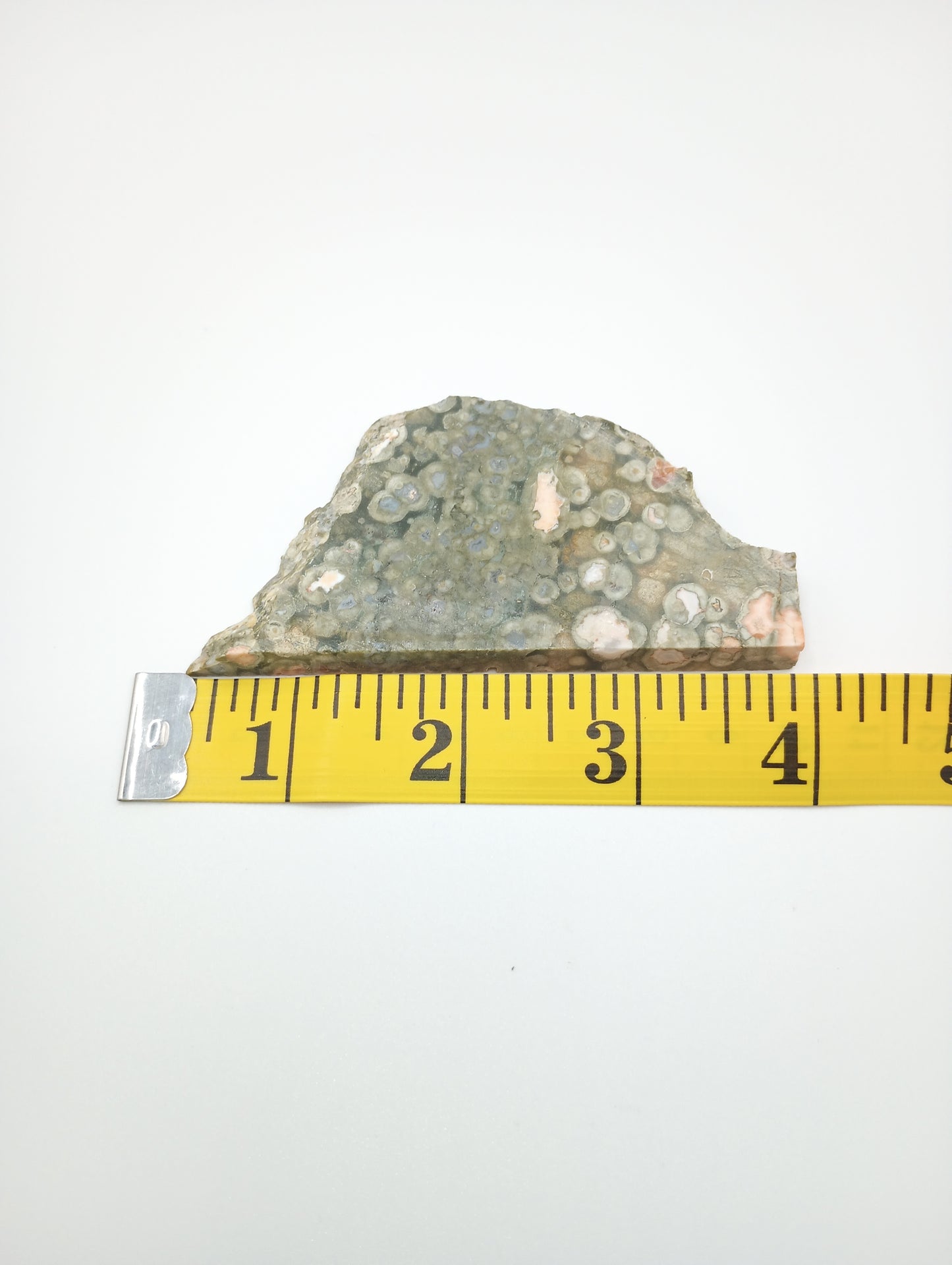 Rainforest Jasper Slice