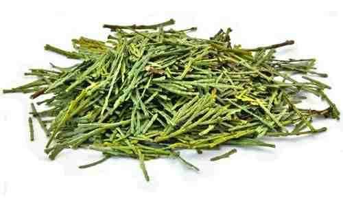 Cedar Leaves & Stems (1 oz)