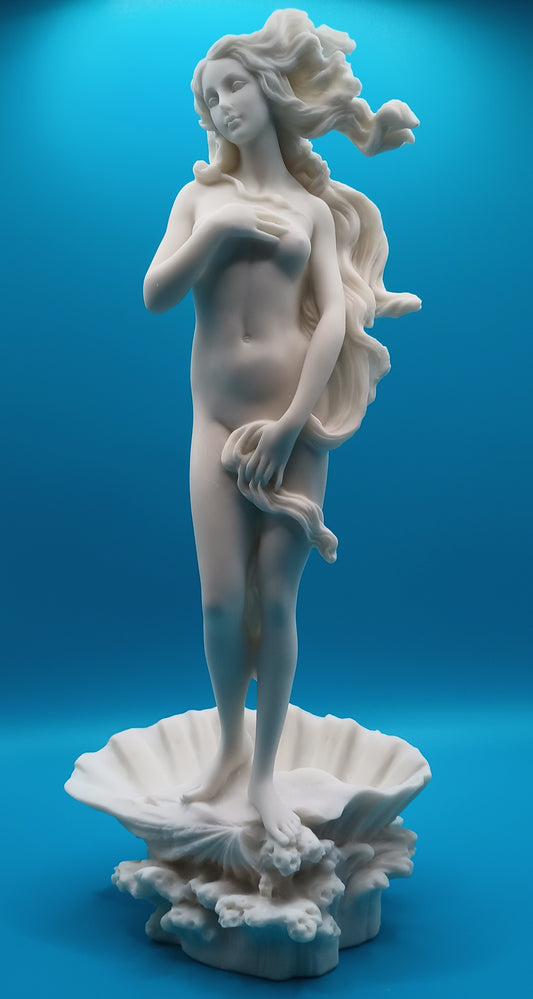 The Birth of Venus - Botticelli inspired