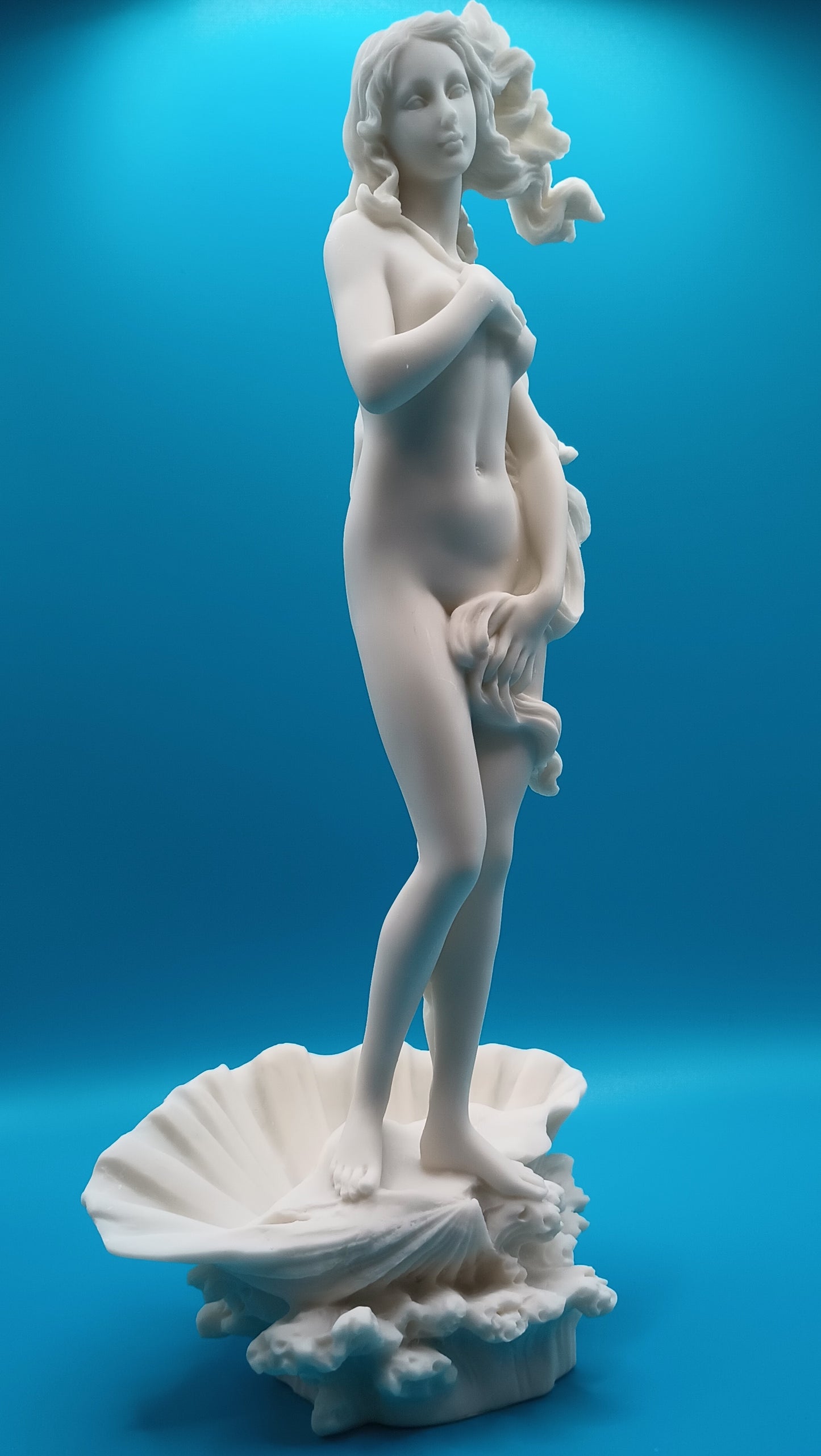 The Birth of Venus - Botticelli inspired