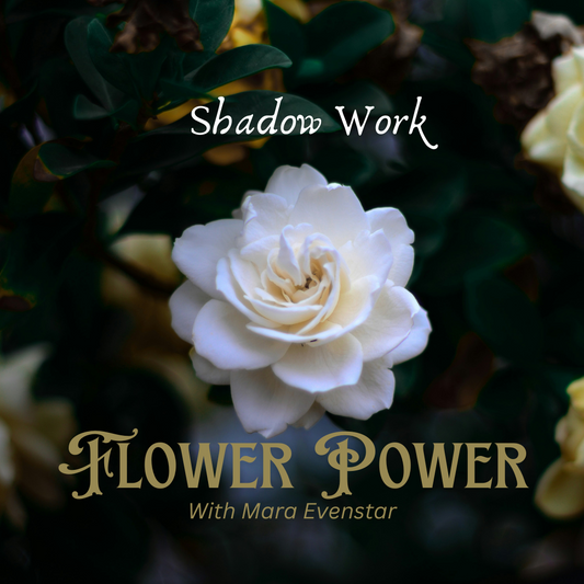 Shadow Work: Flower Power (for SWTC veterans)